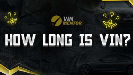 How Long is VIN?