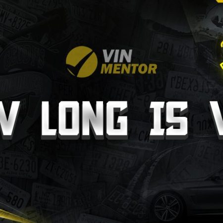 How Long is VIN?