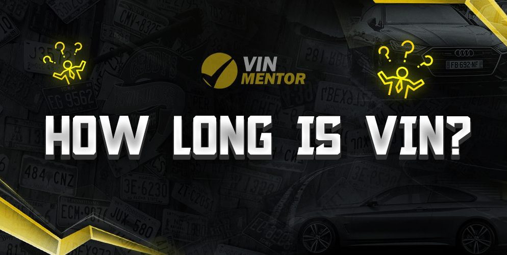 How Long is VIN?