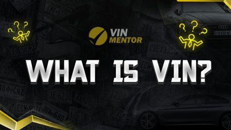 What is VIN?