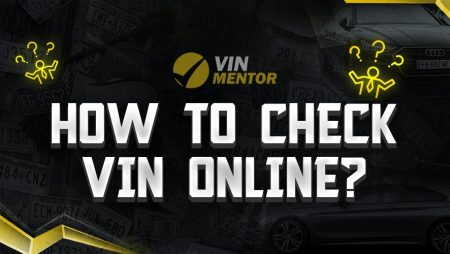 How to Check VIN Online?