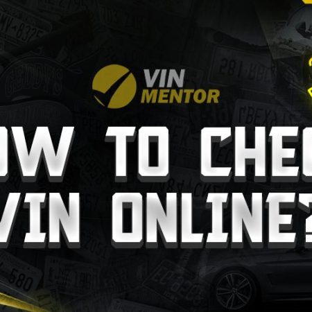 How to Check VIN Online?