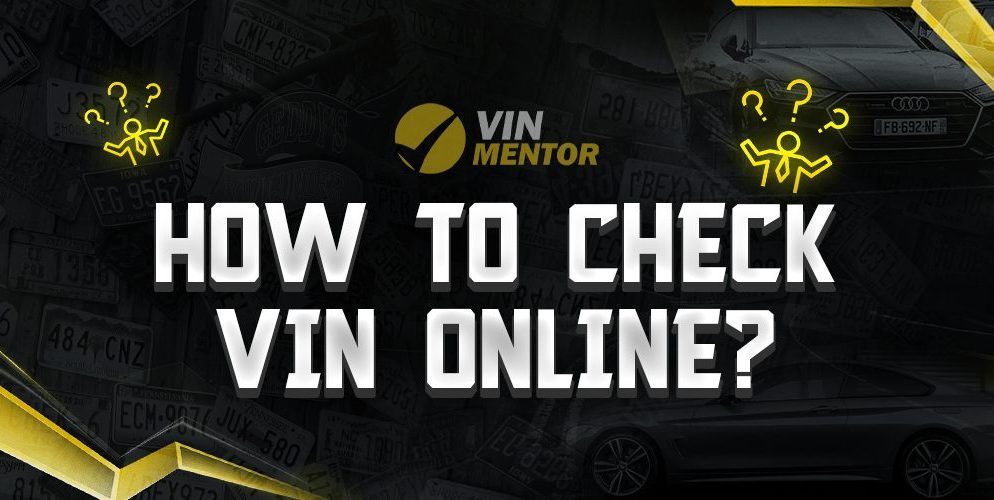 How to Check VIN Online?