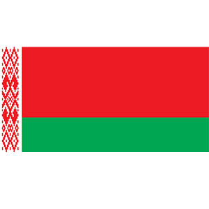 VIN Check in Belarus