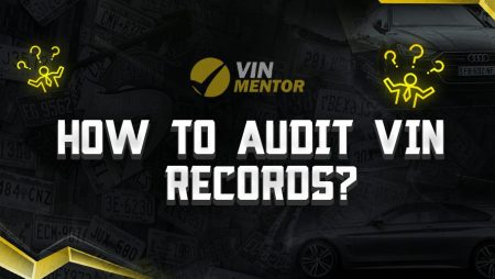 How to Audit VIN records?