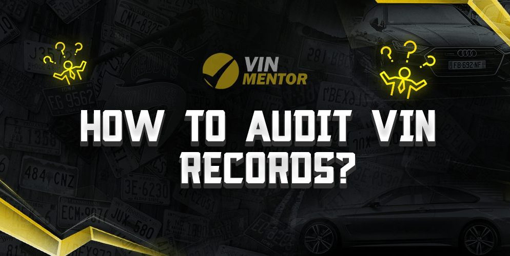 How to Audit VIN records?