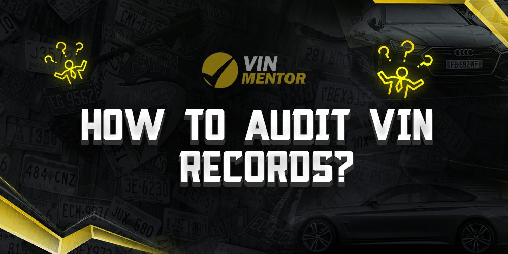 How to Audit VIN records? VIN Mentor