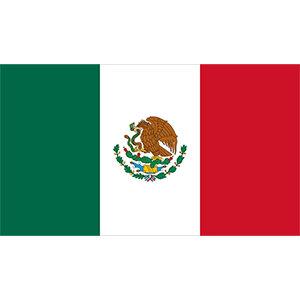 VIN Check in Mexico