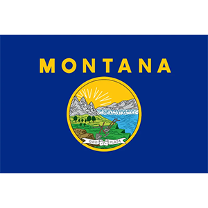 Montana VIN Check
