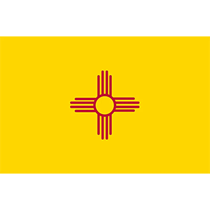 New Mexico VIN Check