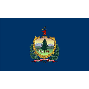 Vermont VIN Check