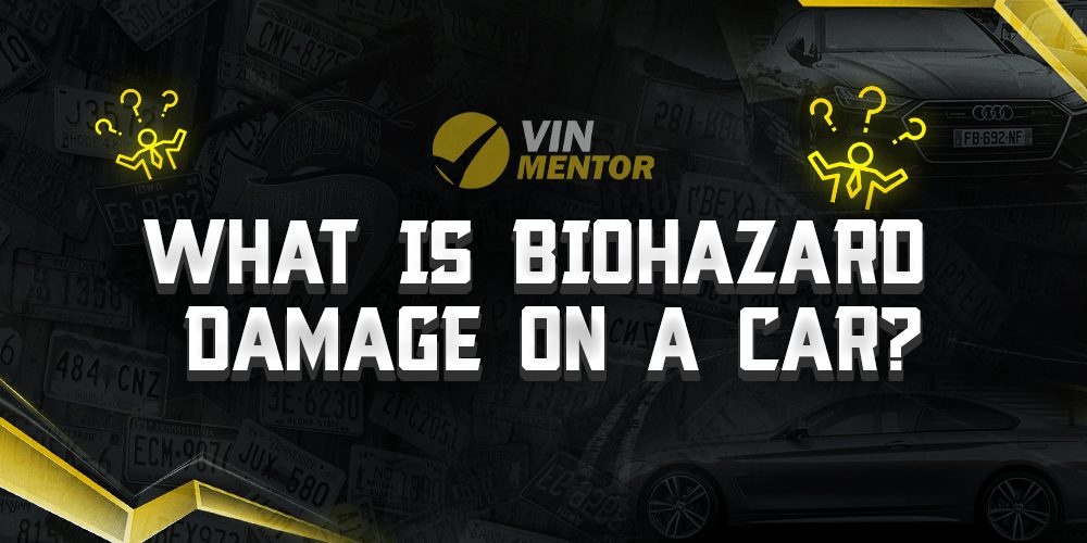 What Is Biohazard Damage On A Car? VIN Mentor