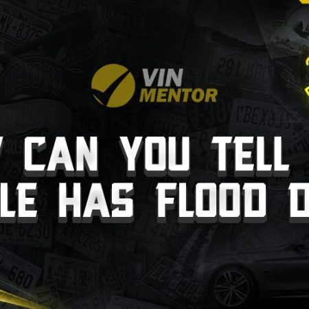 How Can You Tell if a Vehicle Has Flood Damage
