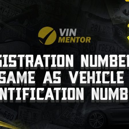 Is Registration Number the Same as Vehicle Identification Number?