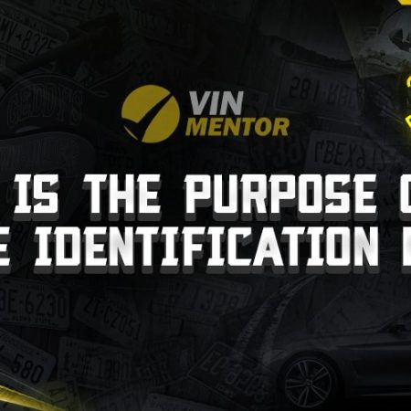 What is the Purpose of the Vehicle Identification Number?