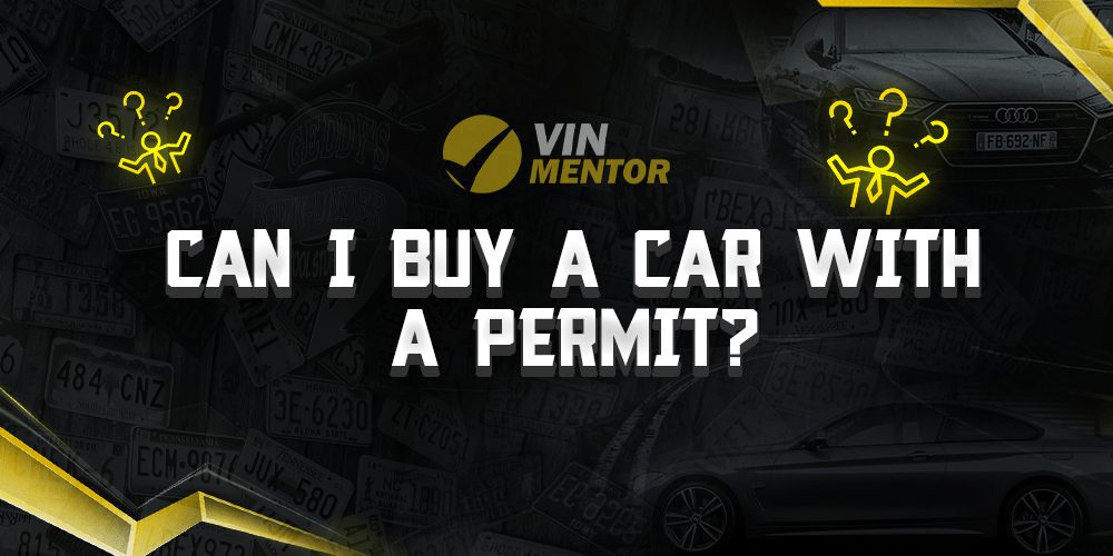 Can I Buy a Car With a Permit? VIN Mentor
