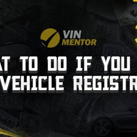 What To Do If You Lost Your Vehicle Registration?